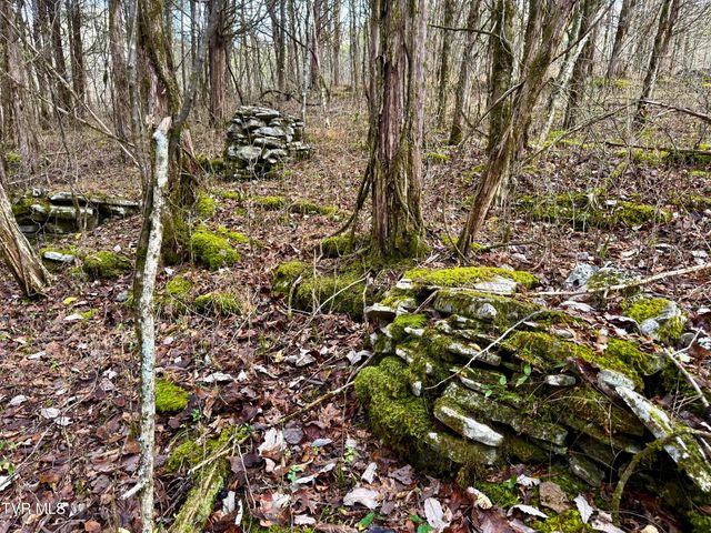 2114 Powell River Rd, Tazewell, TN 37879