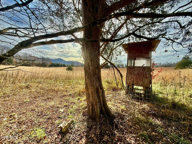 2114 Powell River Rd, Tazewell, TN 37879