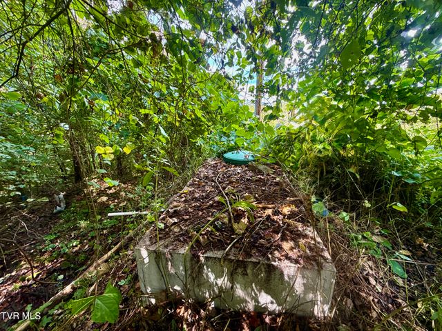 2114 Powell River Rd, Tazewell, TN 37879