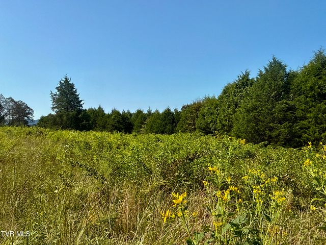 2114 Powell River Rd, Tazewell, TN 37879