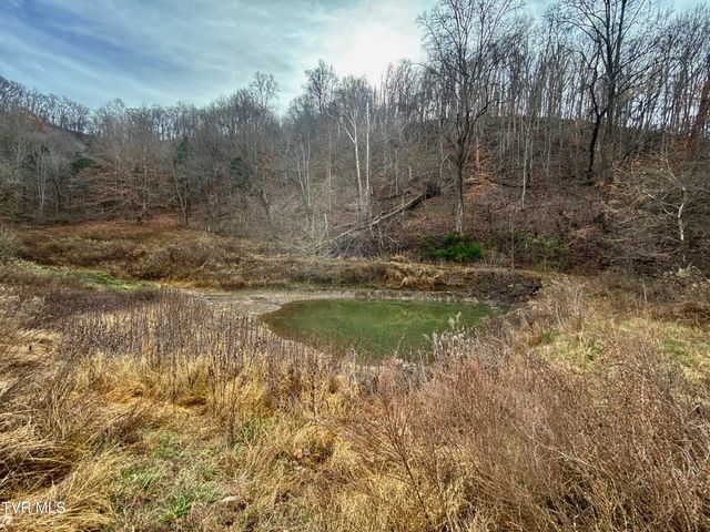 2114 Powell River Rd, Tazewell, TN 37879