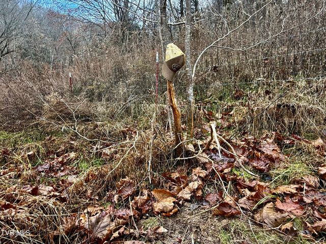 2114 Powell River Rd, Tazewell, TN 37879