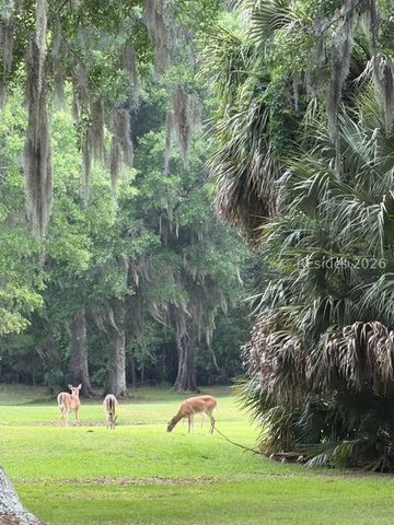 17 Pipers Pond Rd, Bluffton, SC 29910