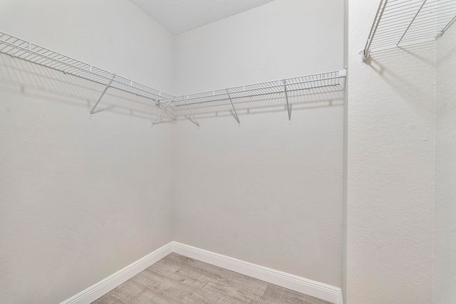6364 NW 78th Drive, Parkland, FL 33067