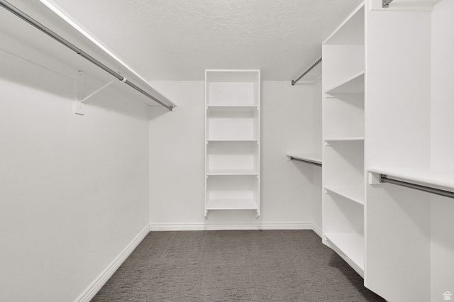 13161 S HORIZON POINT DR, Draper, UT 84020