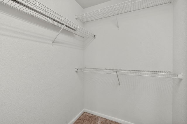 1634 Grable Cove Lane, Spring, TX 77379