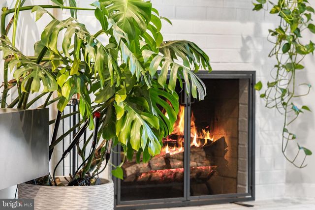 907 S ROLFE ST #1A, Arlington, VA 22204