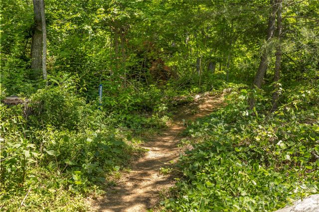 38 Nixon Terrace, Asheville, NC 28805