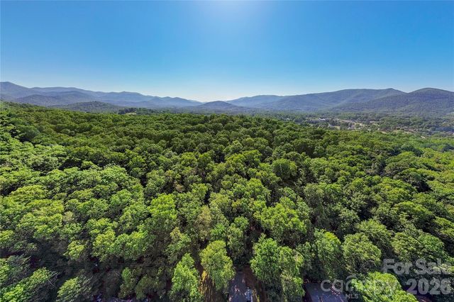 38 Nixon Terrace, Asheville, NC 28805