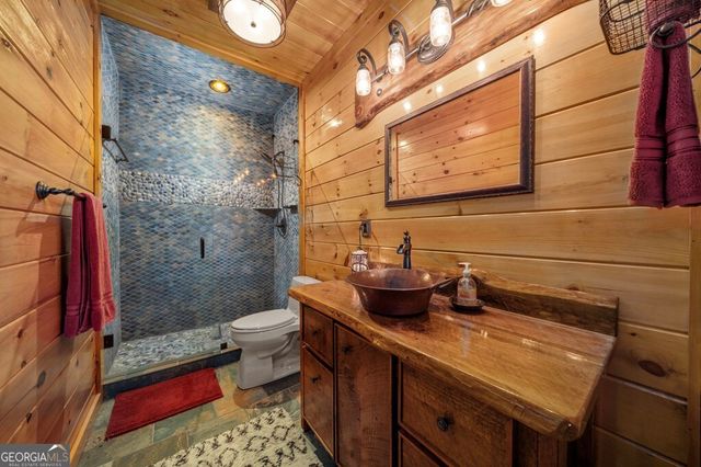 247 Toccoa Overlook Drive, Blue Ridge, GA 30513