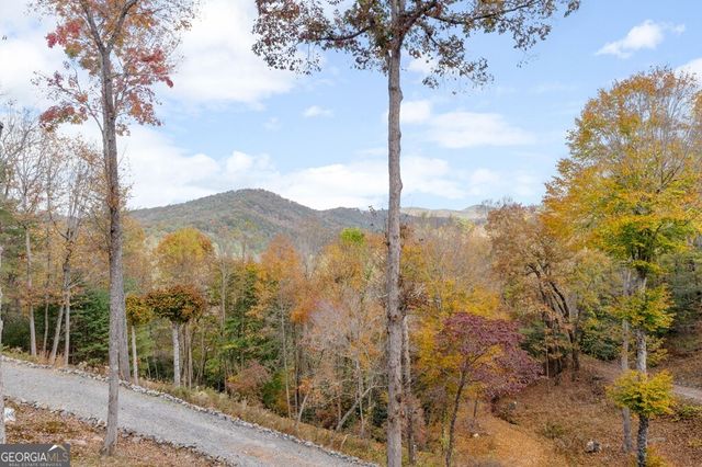 247 Toccoa Overlook Drive, Blue Ridge, GA 30513