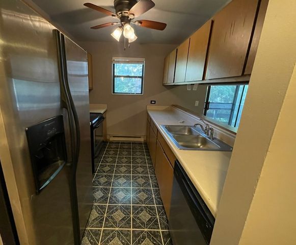 1343 N Winslowe Drive 203, Palatine, IL 60074