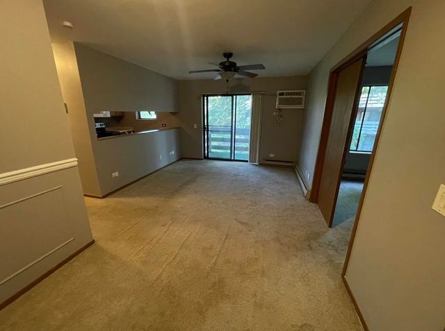 1343 N Winslowe Drive 203, Palatine, IL 60074