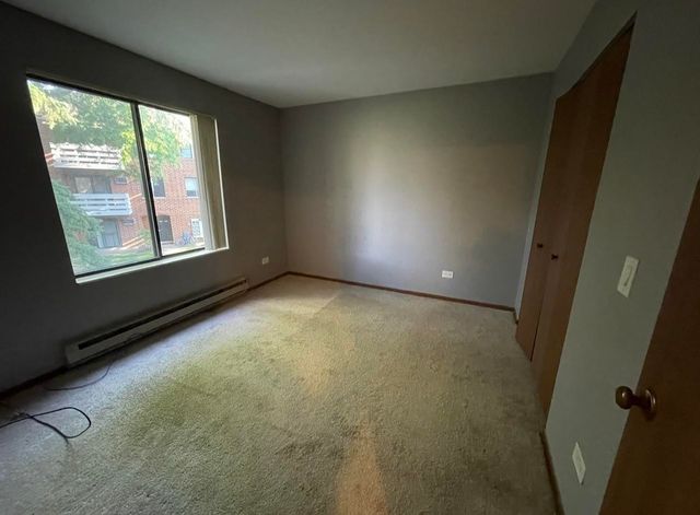 1343 N Winslowe Drive 203, Palatine, IL 60074