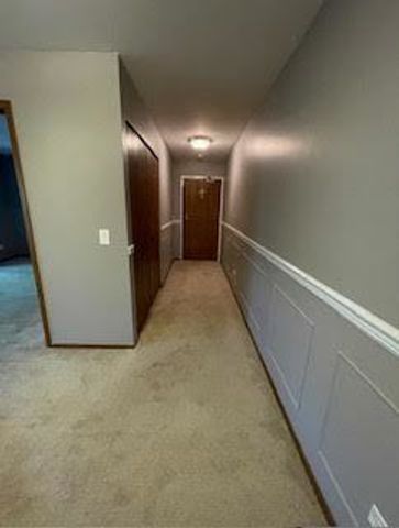 1343 N Winslowe Drive 203, Palatine, IL 60074