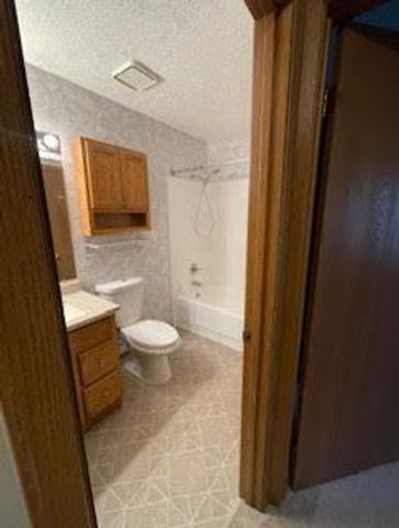 1343 N Winslowe Drive 203, Palatine, IL 60074