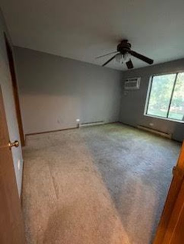 1343 N Winslowe Drive 203, Palatine, IL 60074