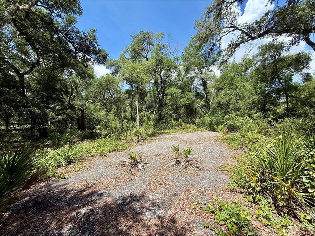 LONG CIRCLE, Webster, FL 33597