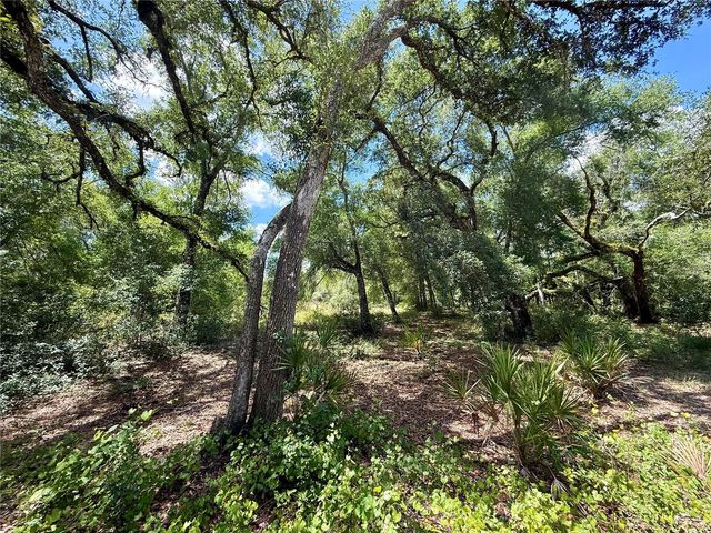 LONG CIRCLE, Webster, FL 33597