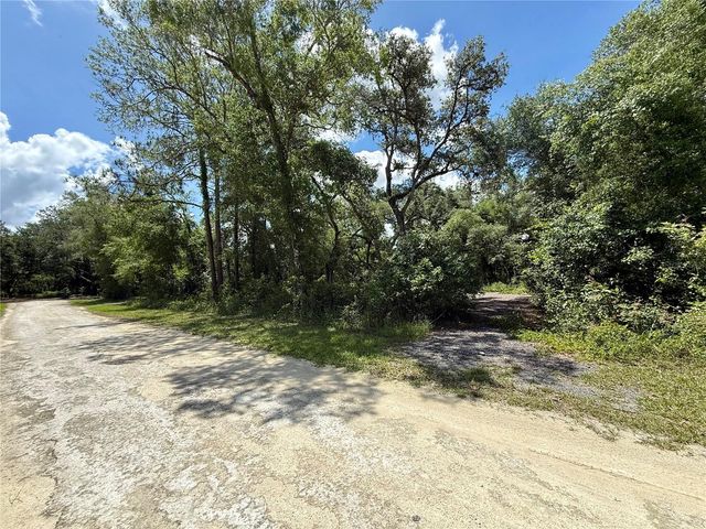 LONG CIRCLE, Webster, FL 33597