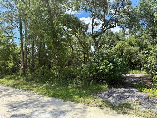 LONG CIRCLE, Webster, FL 33597