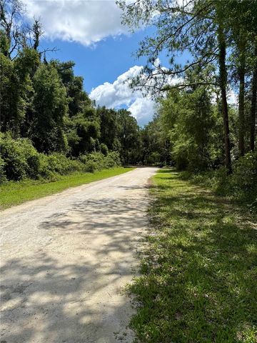 LONG CIRCLE, Webster, FL 33597