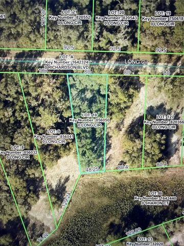 LONG CIRCLE, Webster, FL 33597
