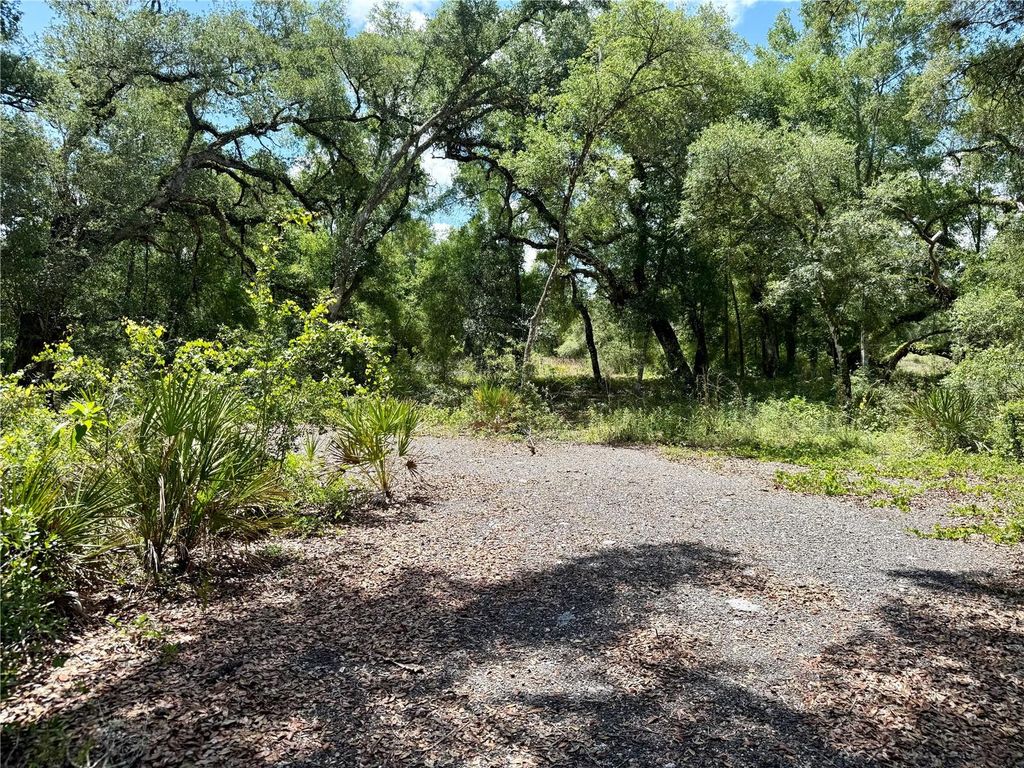 LONG CIRCLE, Webster, FL 33597