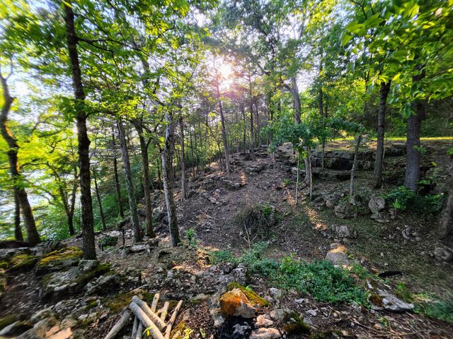 18679 Private Road 2261, Eagle Rock, MO 65641
