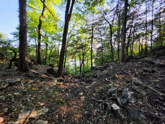 18679 Private Road 2261, Eagle Rock, MO 65641