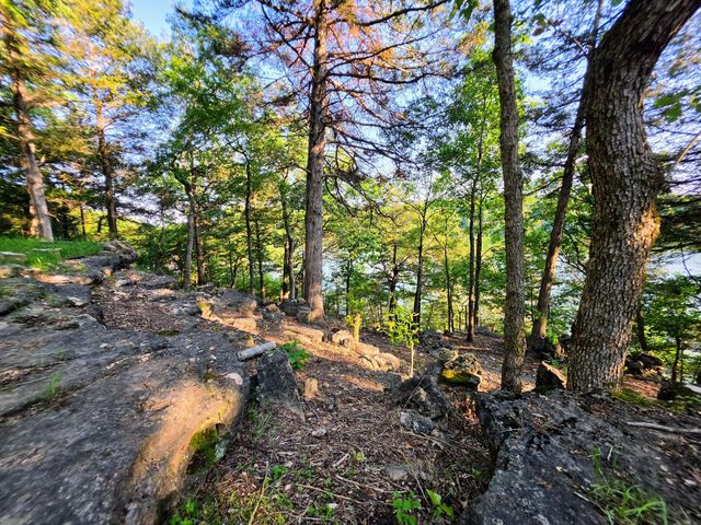 18679 Private Road 2261, Eagle Rock, MO 65641