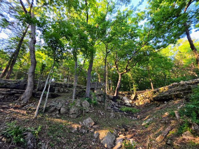 18679 Private Road 2261, Eagle Rock, MO 65641