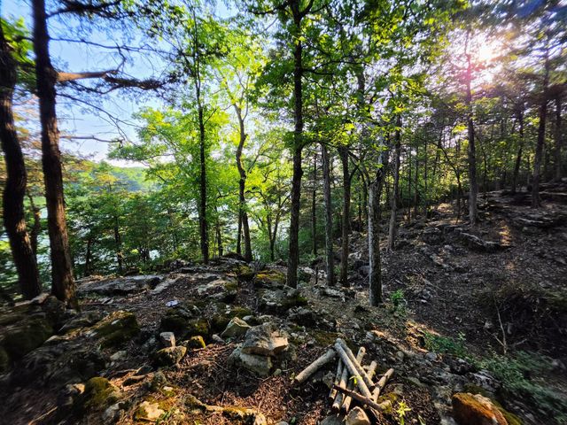 18679 Private Road 2261, Eagle Rock, MO 65641