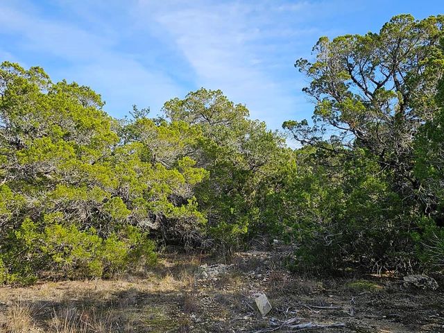 6438 Shaw DR, Marble Falls, TX 78654