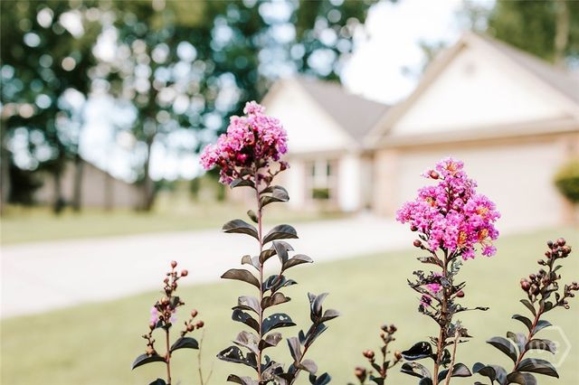 296 Highlands Drive, Winterville, GA 30683