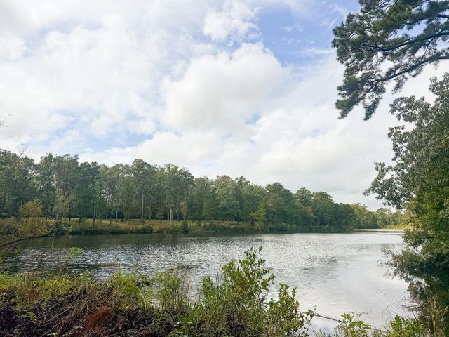 138 Twisted Oak Trail, Elloree, SC 29047