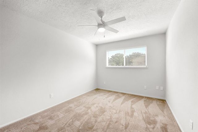 17731 Wild Willow Lane, Houston, TX 77084