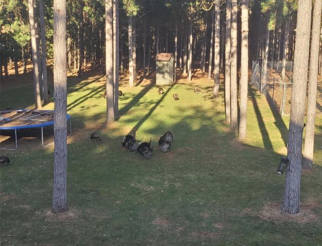 W3041 2nd Street, Nekoosa, WI 54457