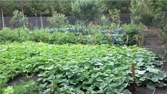 W3041 2nd Street, Nekoosa, WI 54457