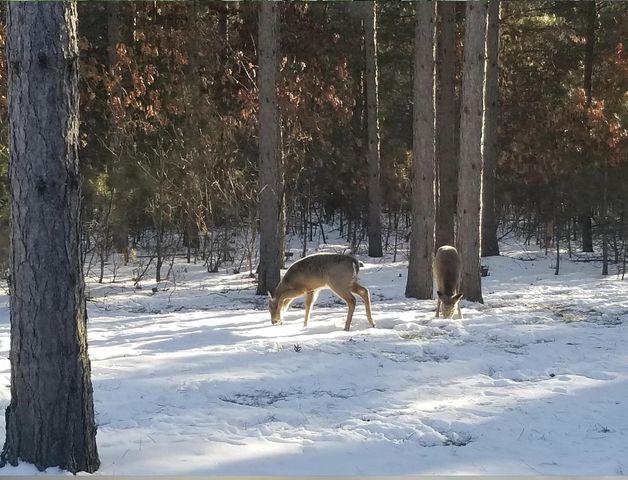 W3041 2nd Street, Nekoosa, WI 54457