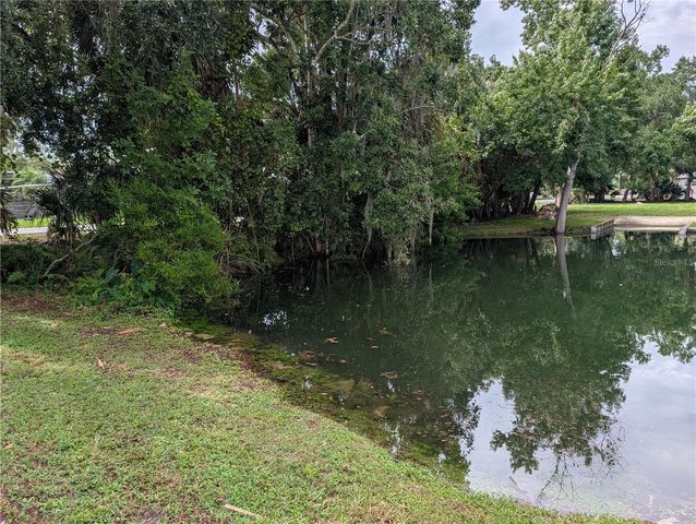 SEBRING STREET, Weeki Wachee, FL 34607