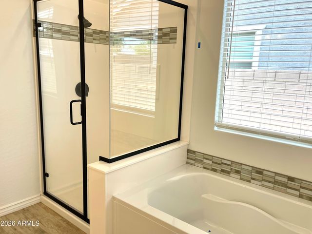 10027 W VERDE Lane, Avondale, AZ 85392