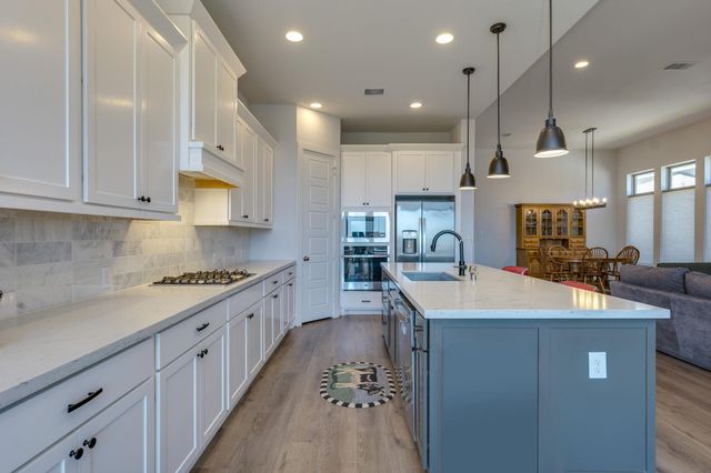 223 Trailing Lantana LN, San Marcos, TX 78666