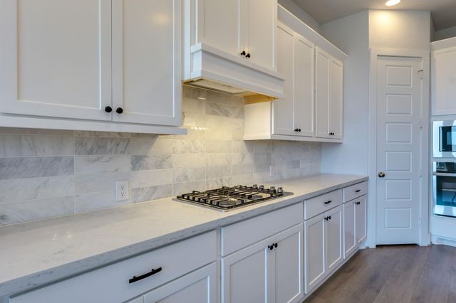 223 Trailing Lantana LN, San Marcos, TX 78666