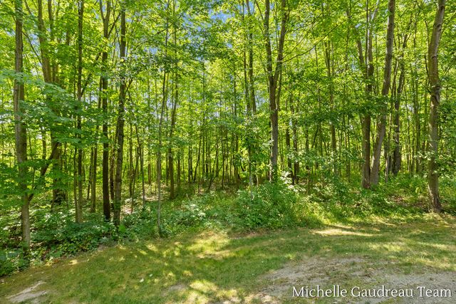 6244 Black Creek Drive, Irving Twp, MI 49333