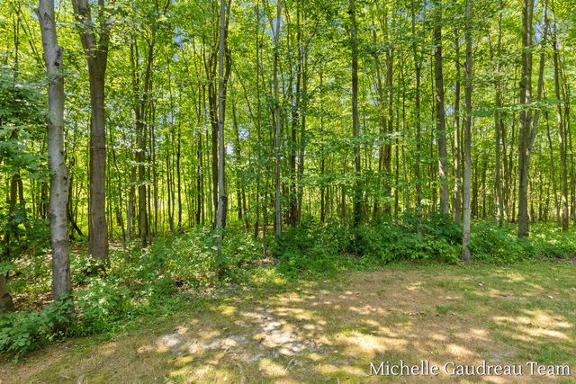 6244 Black Creek Drive, Irving Twp, MI 49333