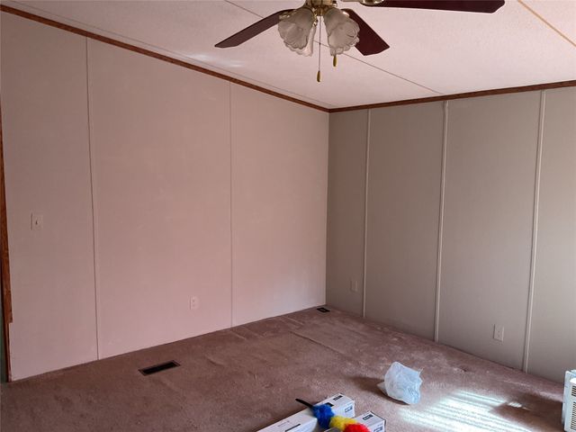 125 Rock Salt Court, Springtown, TX 76082