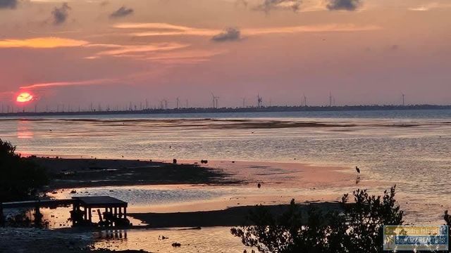 1810 North Shore, Port Isabel, TX 78578