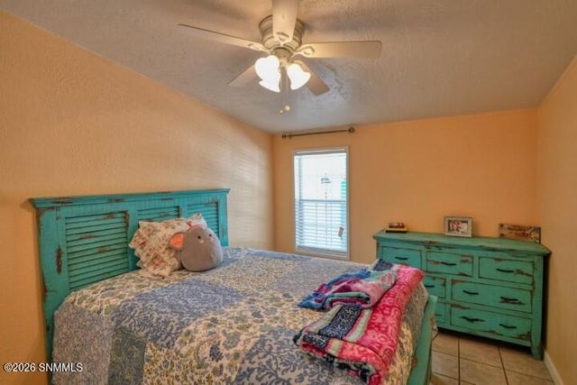 245 Hurt Road, Radium Springs, NM 88054