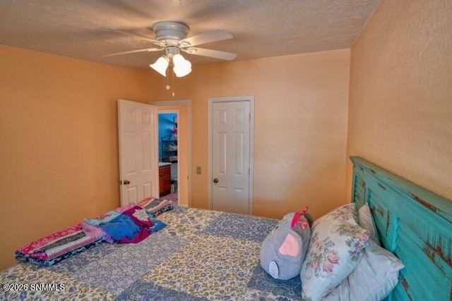 245 Hurt Road, Radium Springs, NM 88054